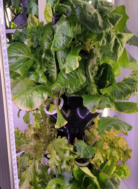 Screenshot 2023-08-08 210232