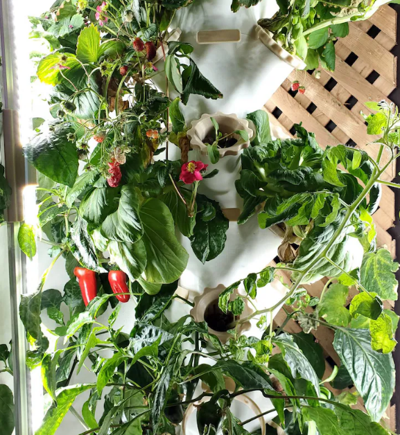 Screenshot 2023-08-08 210832