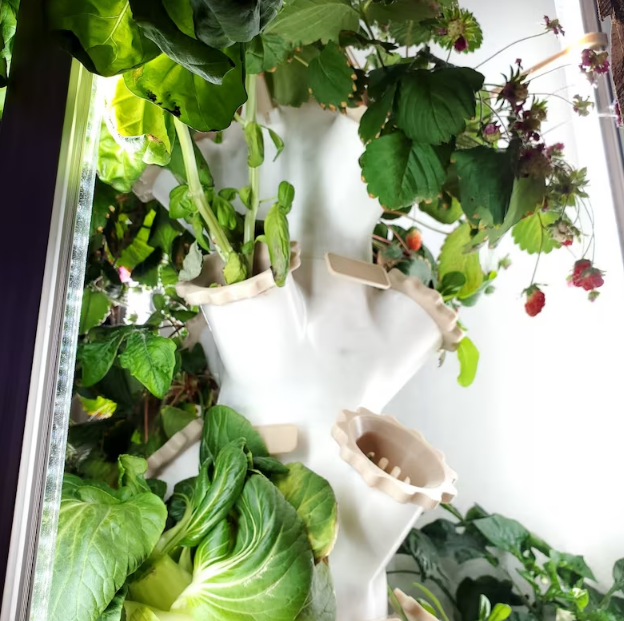 Screenshot 2023-08-08 210852