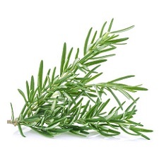Rosemary